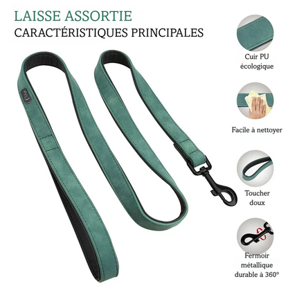 Principales caractéristiques de la laisse verte pour chien en PU cuir avec mousqueton métal présenté sur un fond blanc.