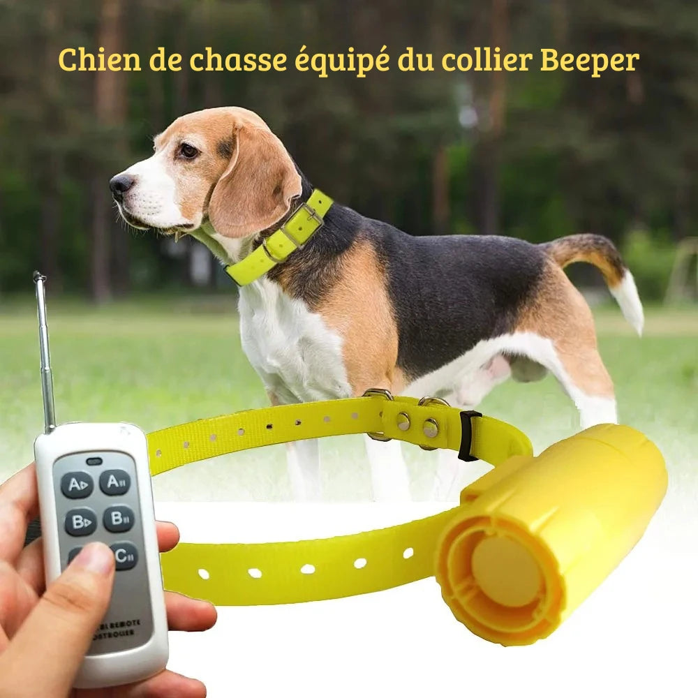 Chien en extérieur portant un collier beeper jaune avec télécommande montrée au premier plan.