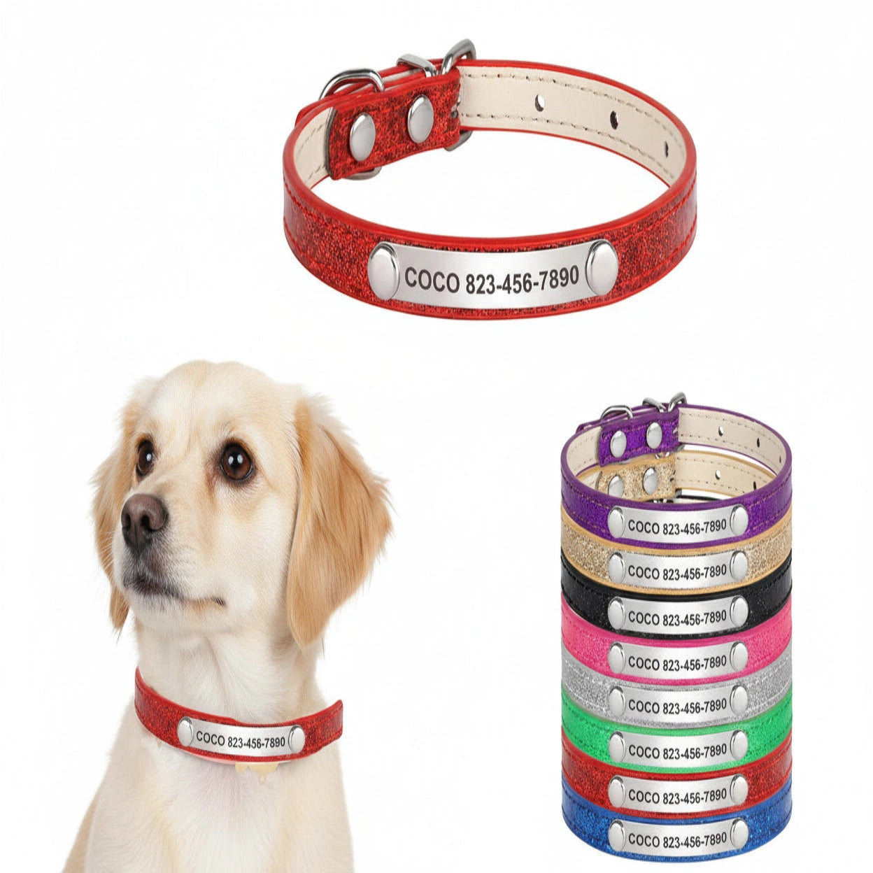 Chien portant un collier rouge pailleté avec plusieurs variantes de coloris à droite sur fond blanc.