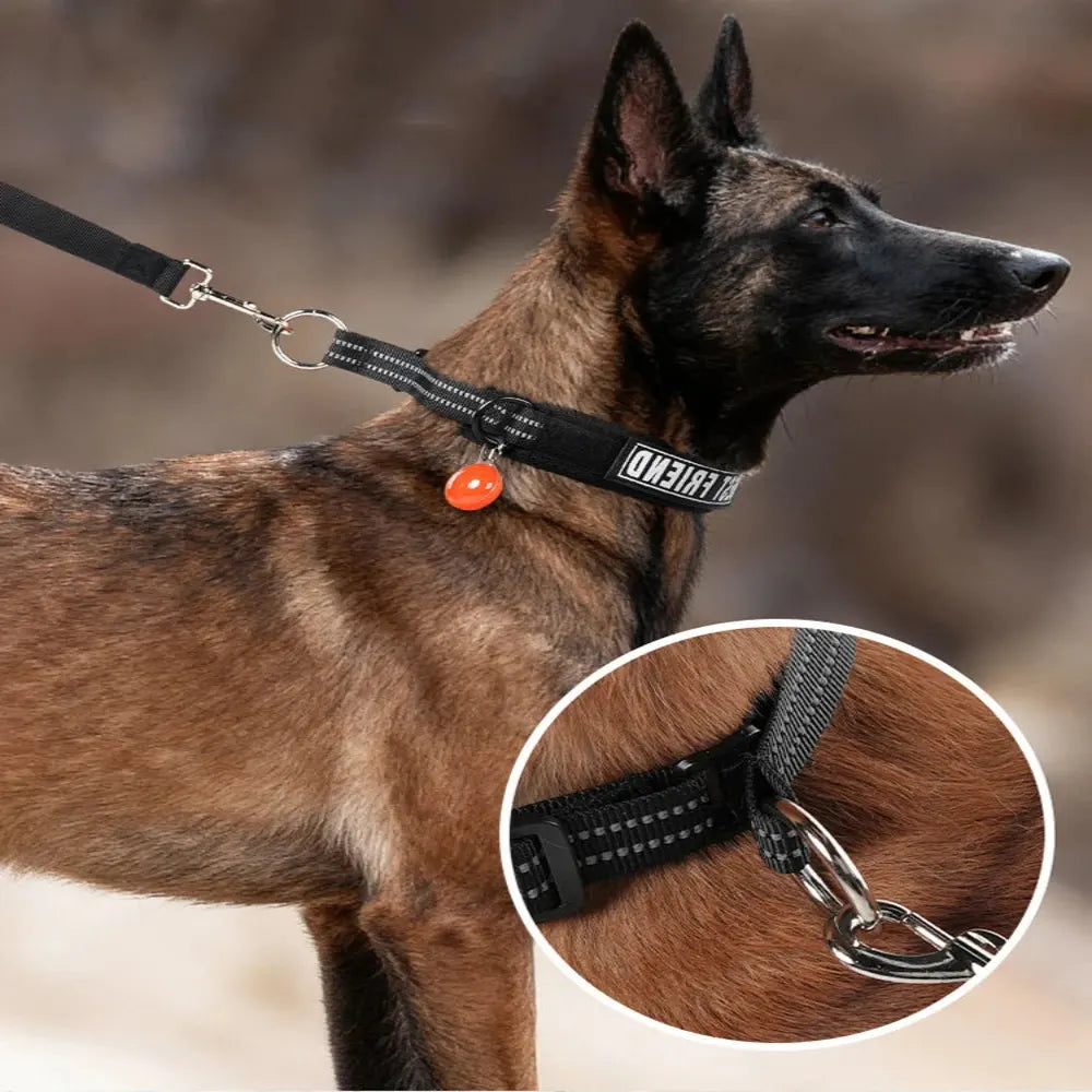 Berger malinois portant un collier noir avec laisse et médaille orange en extérieur avec gros plan sur les anneaux métalliques en bas de l'image.