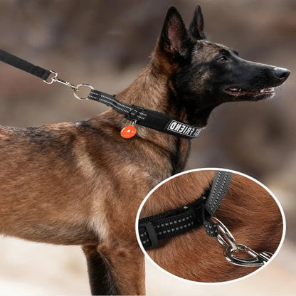 Berger malinois portant un collier noir avec laisse et médaille orange en extérieur avec gros plan sur les anneaux métalliques en bas de l'image.