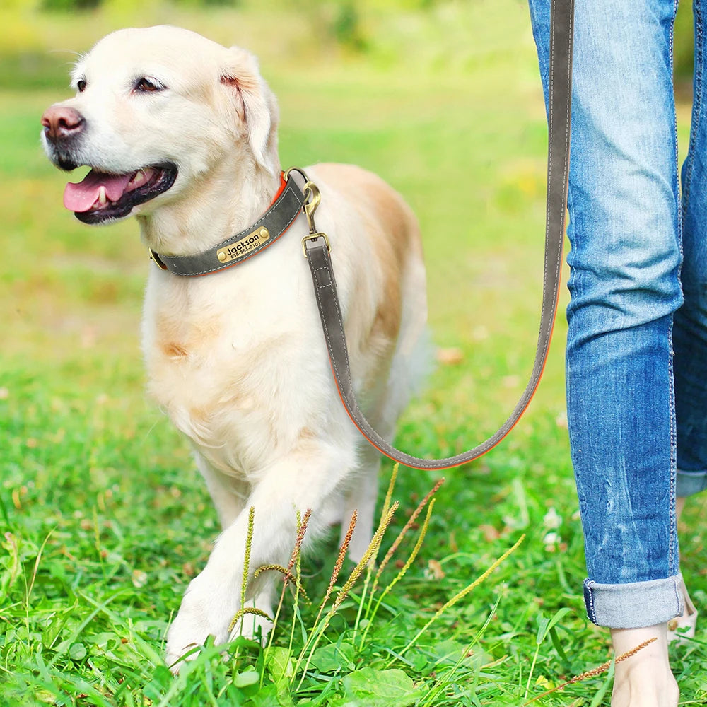 Chien en promenade dans l'herbe portant un collier personnalisé avec laisse en cuir PU gris.