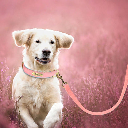 Chien portant un collier et une laisse roses en cuir PU en extérieur.
