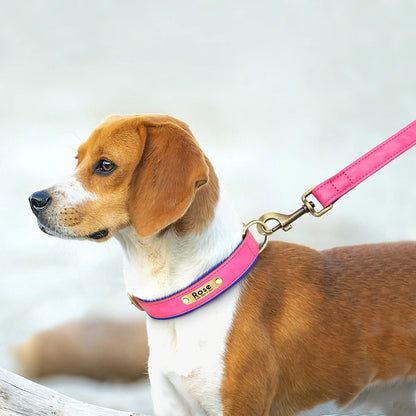 Chien en extérieur portant un collier personnalisé rose avec laisse assortie en cuir PU.