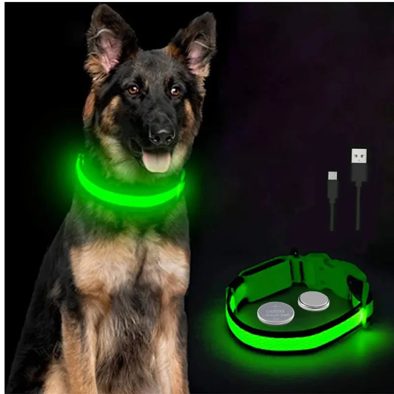 Berger allemand portant un collier lumineux vert sur fond noir.
