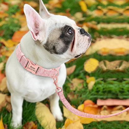 Bouledogue français en extérieur portant un collier rose personnalisé avec laisse assortie.