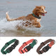 Chien courant dans l’eau avec un collier de nage en PVC bicolore vert et noir et présentation en bas des différents coloris.
