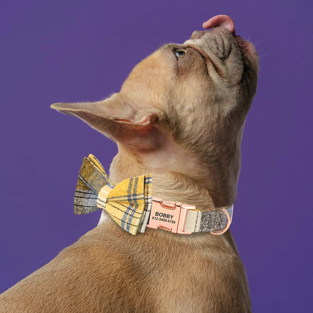 Chien beige portant un collier personnalisé à motif à carreaux jaune et gris sur fond violet.