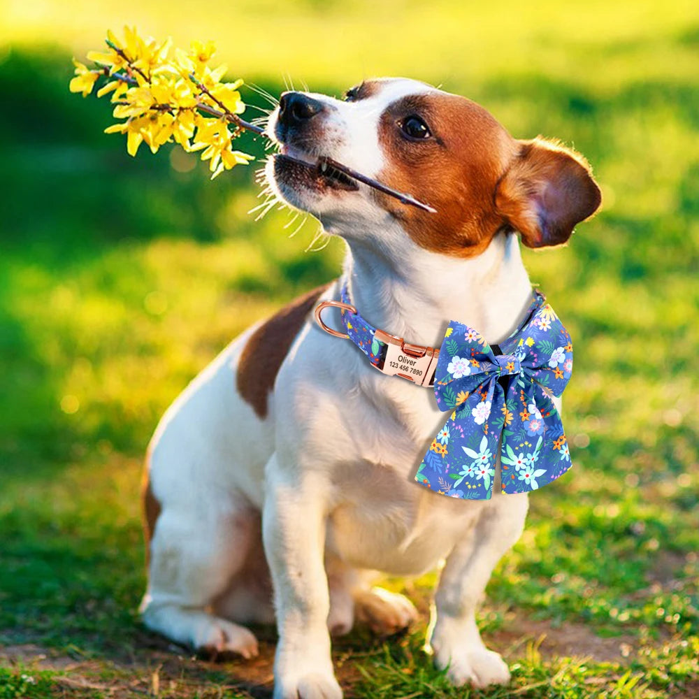 Chien assis dans l’herbe portant un collier bleu à motif floral avec grand nœud papillon et plaque gravée.