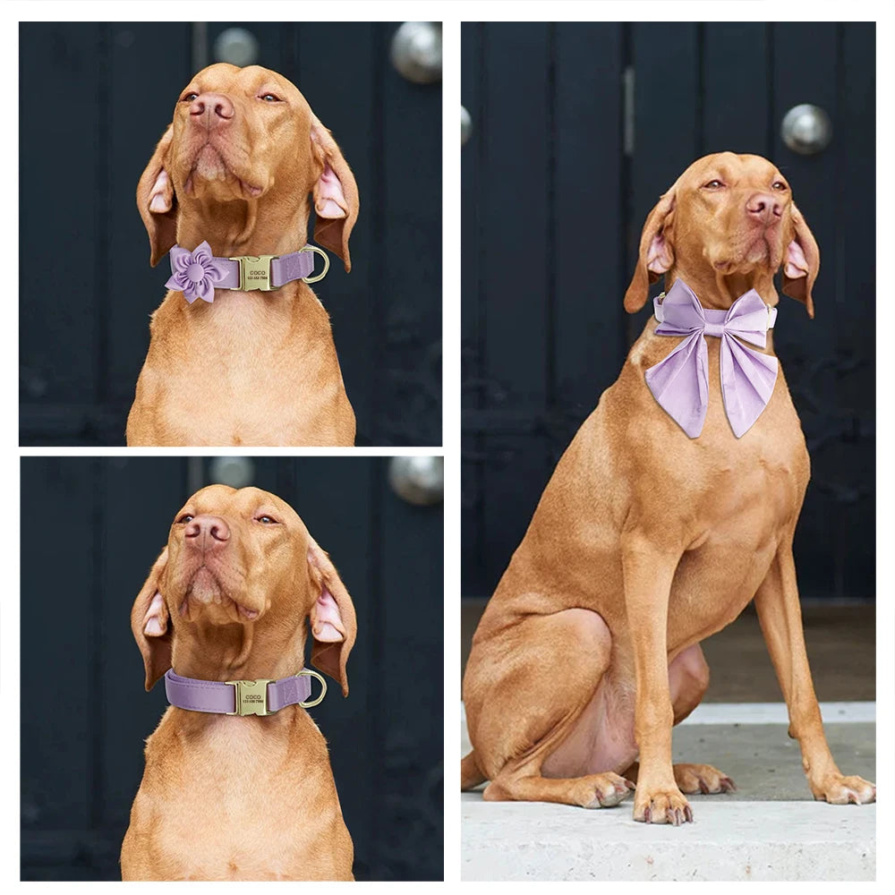 Chien portant un collier personnalisé violet montré avec fleur en tissu, collier seul et nœud papillon.