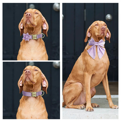 Chien portant un collier personnalisé violet montré avec fleur en tissu, collier seul et nœud papillon.