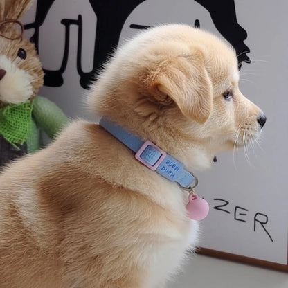 Vue de profil d'un chiot beige portant un collier bleu clair avec boule décorative rose.