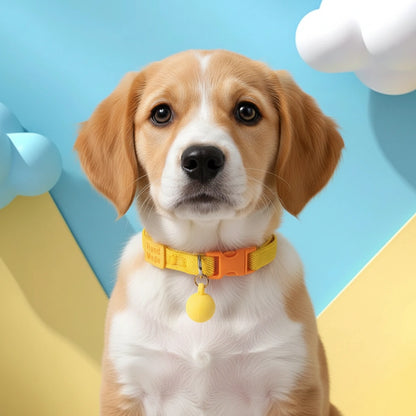 Chiot portant un collier jaune avec boule décorative jaune et boucle orange devant un fond bleu et jaune.