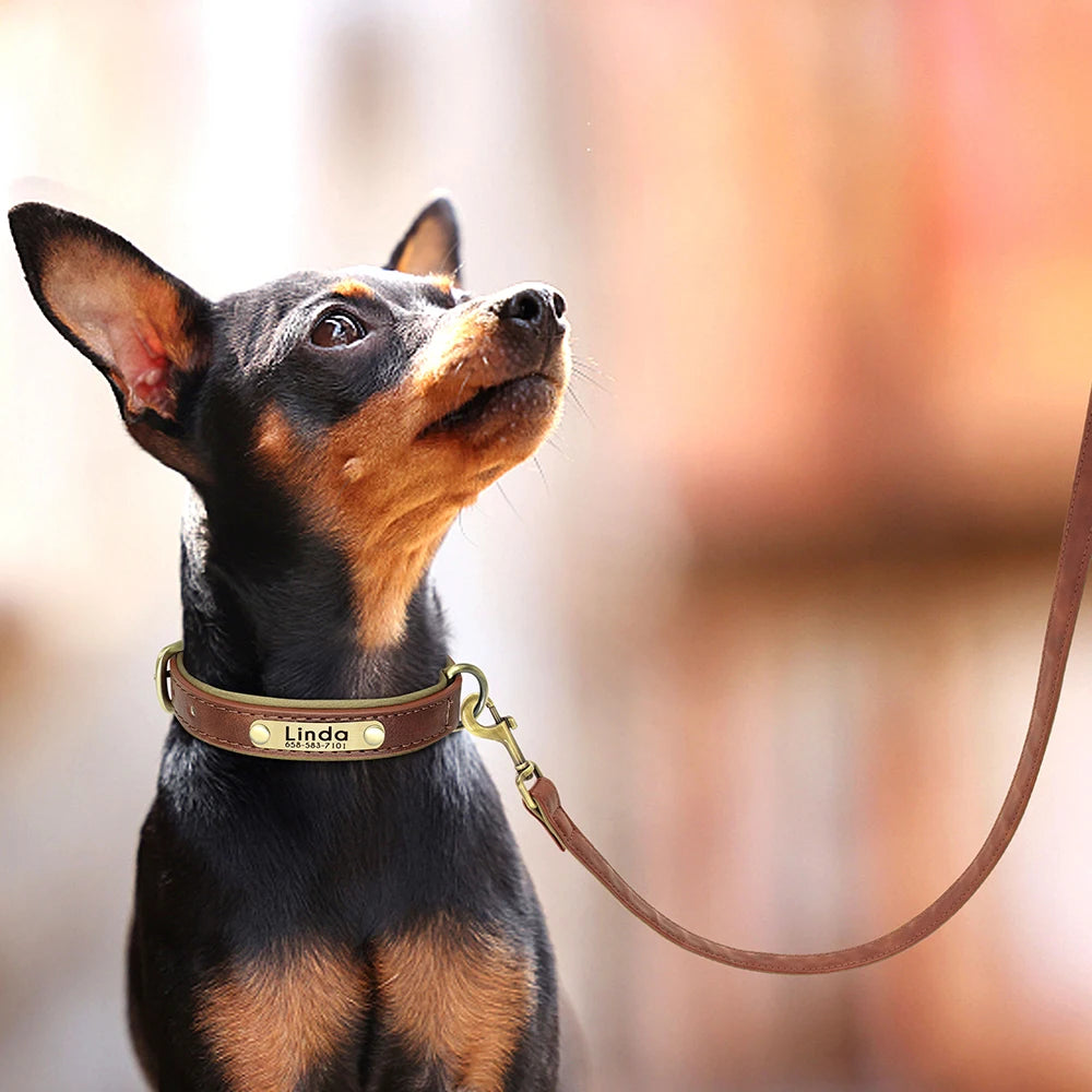 Petit chien noir portant un collier personnalisé marron avec laisse assortie en cuir PU.