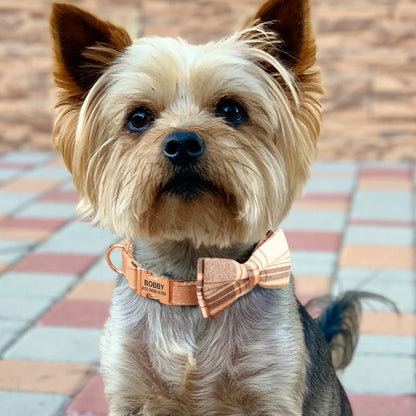 Petit chien portant un collier personnalisé à carreaux beige et marron avec nœud papillon et plaque gravée.