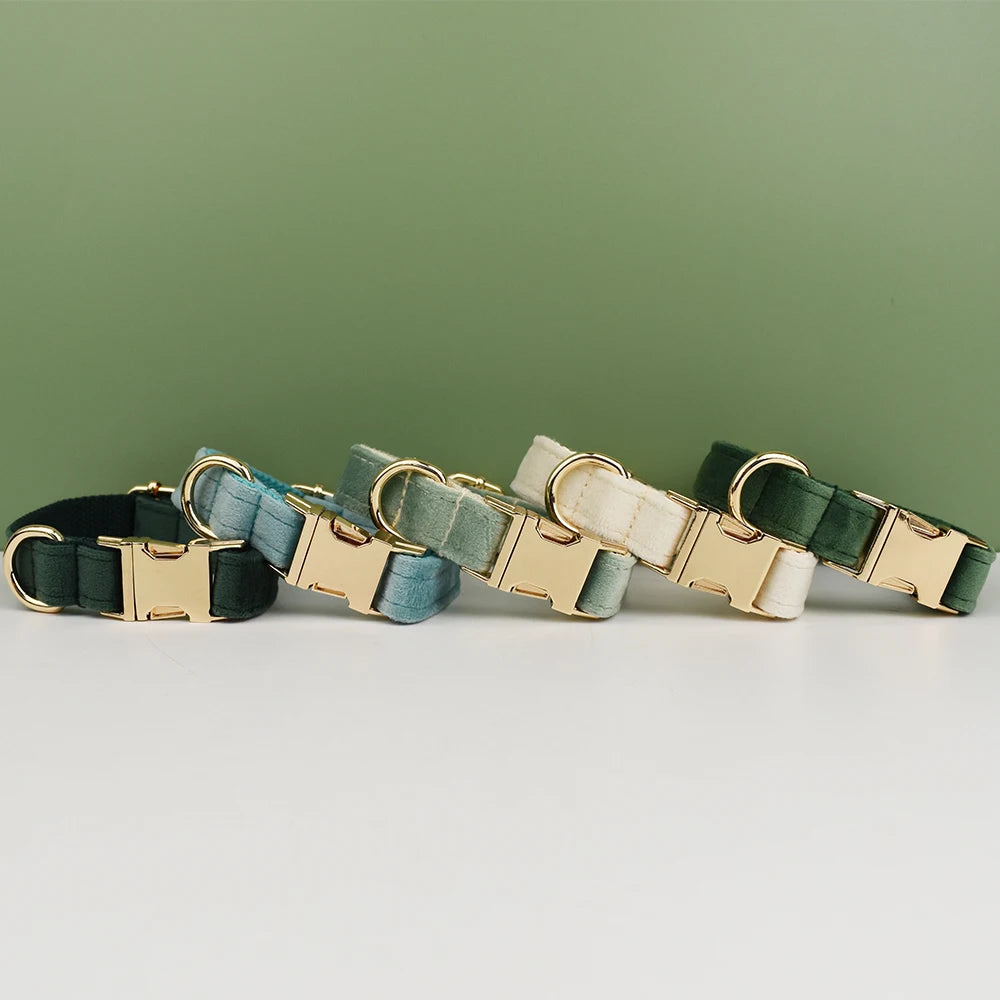 Plusieurs colliers chien en velours alignés sur fond vert.