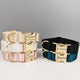 Collection de colliers pour chien personnalisés en plusieurs coloris.