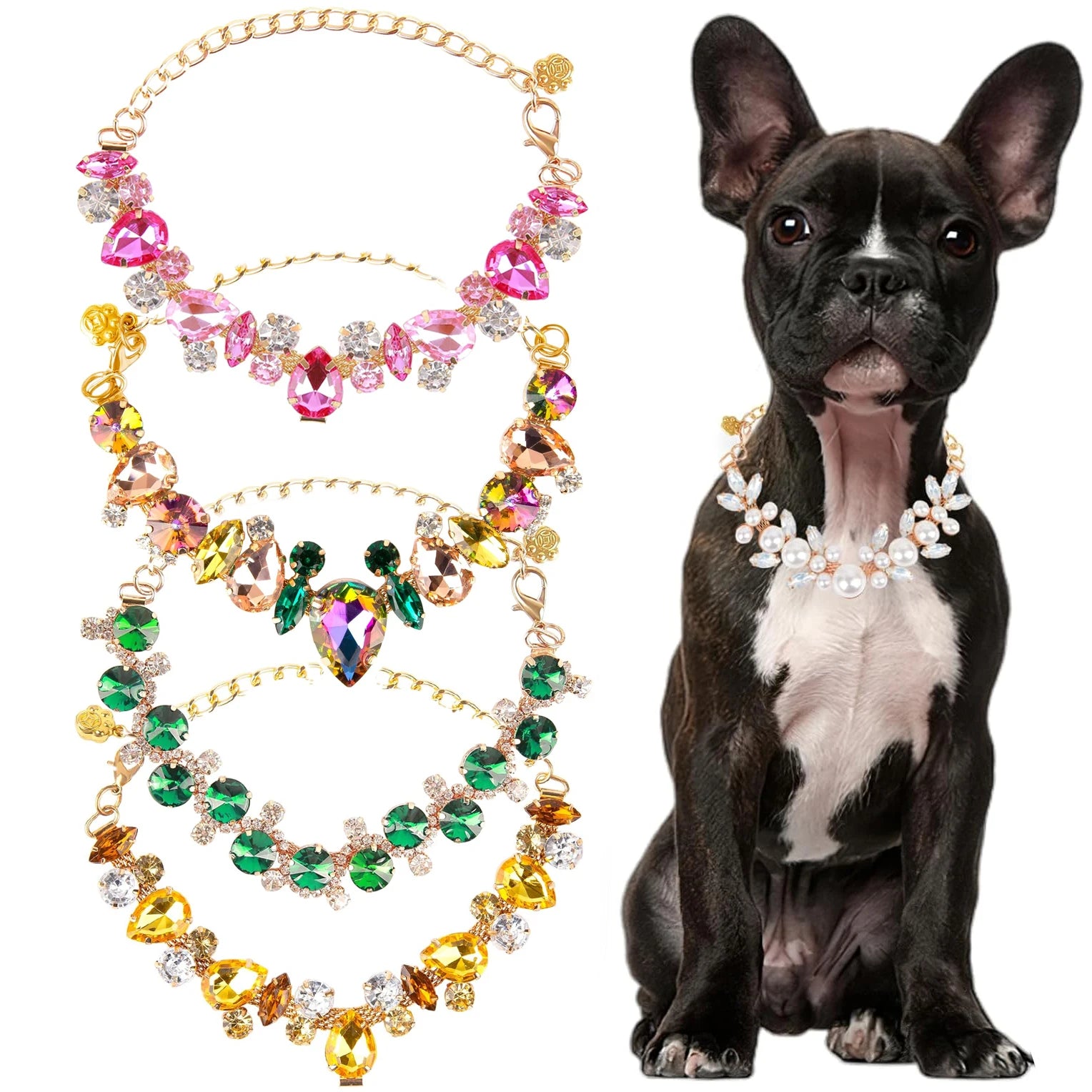 Plusieurs modèles de colliers pour chien avec strass, à côté d’un chien noir.