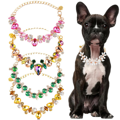 Plusieurs modèles de colliers pour chien avec strass, à côté d’un chien noir.