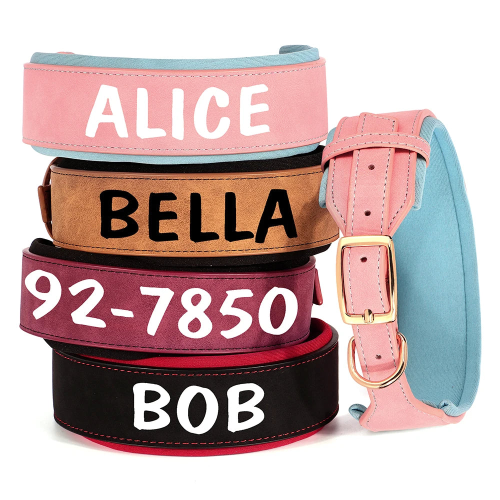 Collection de grands colliers pour chien avec variantes de couleurs et de textes.