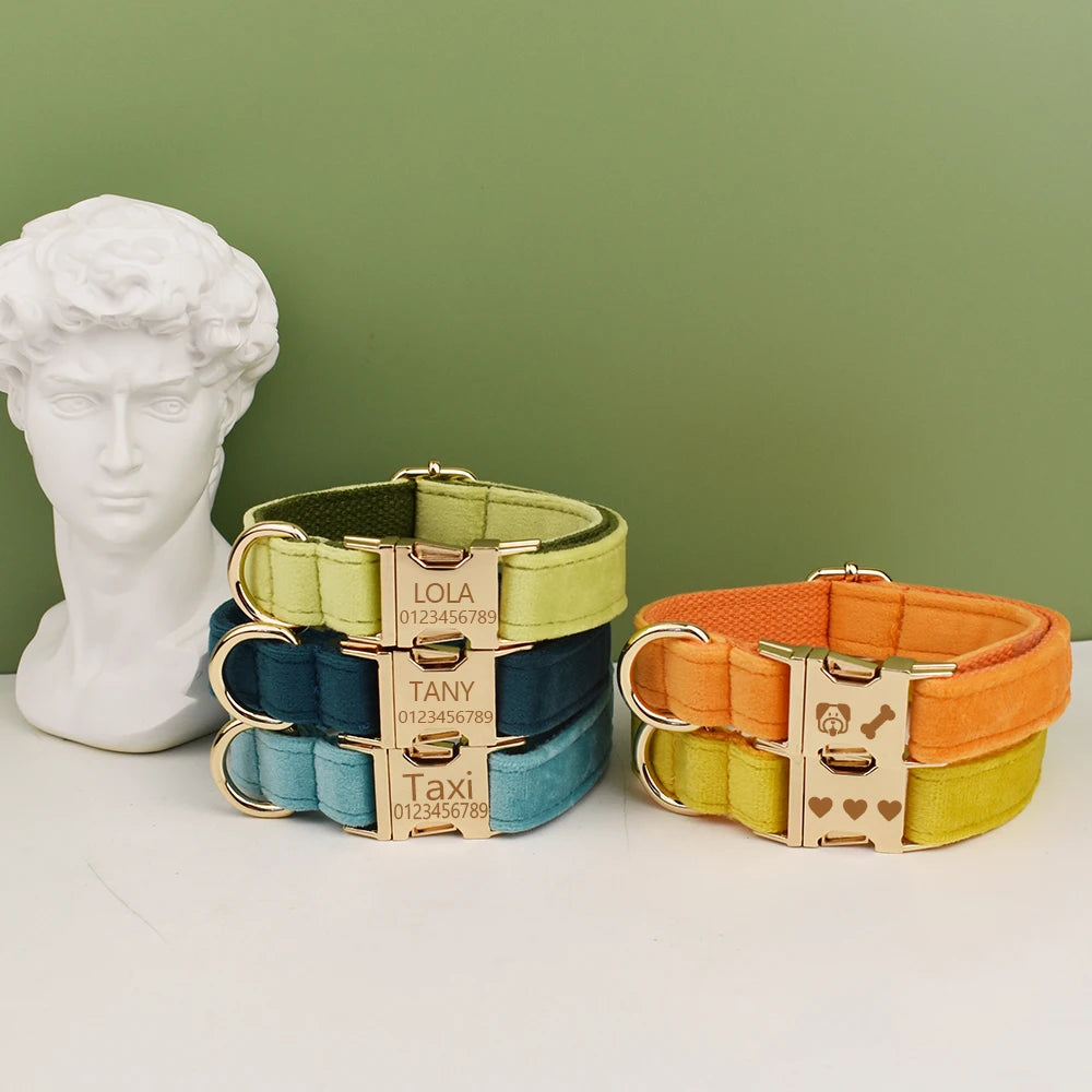 Plusieurs colliers pour chien avec boucle gravée personnalisée et bouclerie dorée.