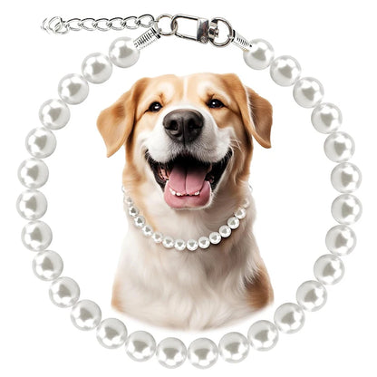 Collier pour chien à perles artificielles blanches présenté autour d’une photo de chien.