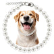 Collier pour chien à perles artificielles blanches présenté autour d’une photo de chien.