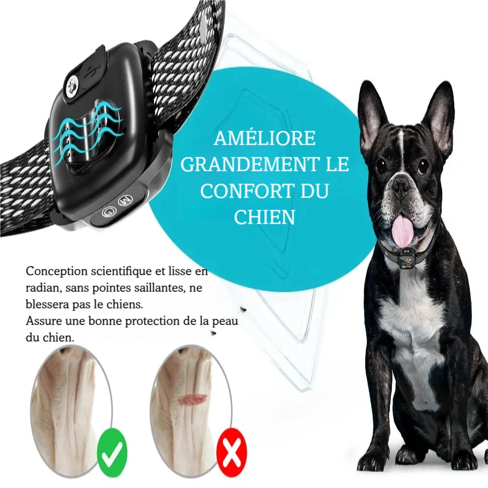 Visuel du collier anti-aboiement mettant en avant le confort de port pour le chien.