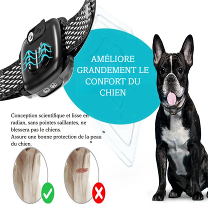 Visuel du collier anti-aboiement mettant en avant le confort de port pour le chien.