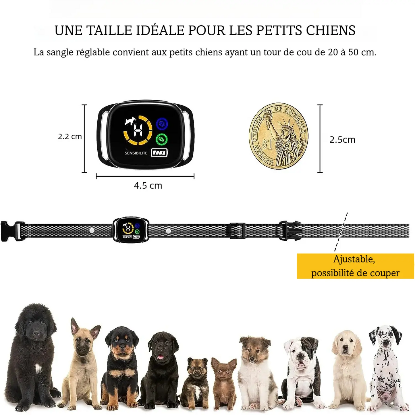 Guide de taille du collier anti-aboiement avec dimensions du boîtier et sangle ajustable.