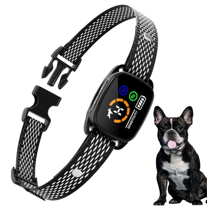 Collier anti-aboiement intelligent noir présenté avec un petit chien noir assis sur fond blanc.
