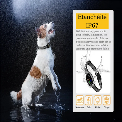 Visuel produit du collier anti-aboiement rechargeable mettant en avant son étanchéité.