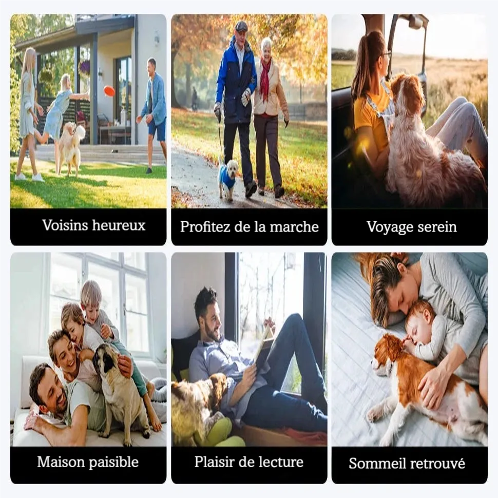 Visuel des situations du quotidien où le collier anti-aboiement peut être utilisé à la maison, en balade ou en voyage.