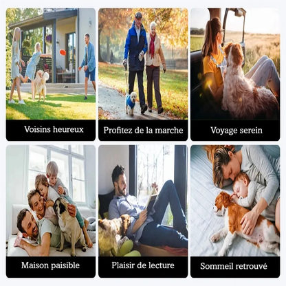 Visuel des situations du quotidien où le collier anti-aboiement peut être utilisé à la maison, en balade ou en voyage.