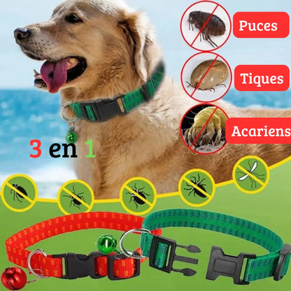 Visuel d’un collier anti-puces, tiques et moustiques pour chien avec modèle porté et deux colliers présentés
