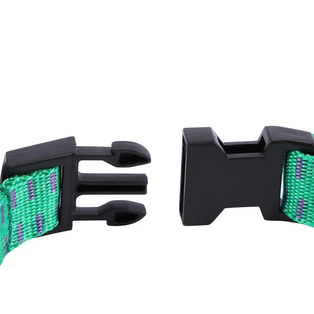 Gros plan sur la fermeture clip du collier antiparasitaire pour chien