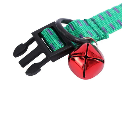 Gros plan sur la boucle et le grelot rouge du collier antiparasitaire pour chien