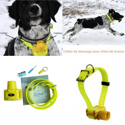 Collage montrant le collier beeper jaune porté par un chien et le contenu du kit.