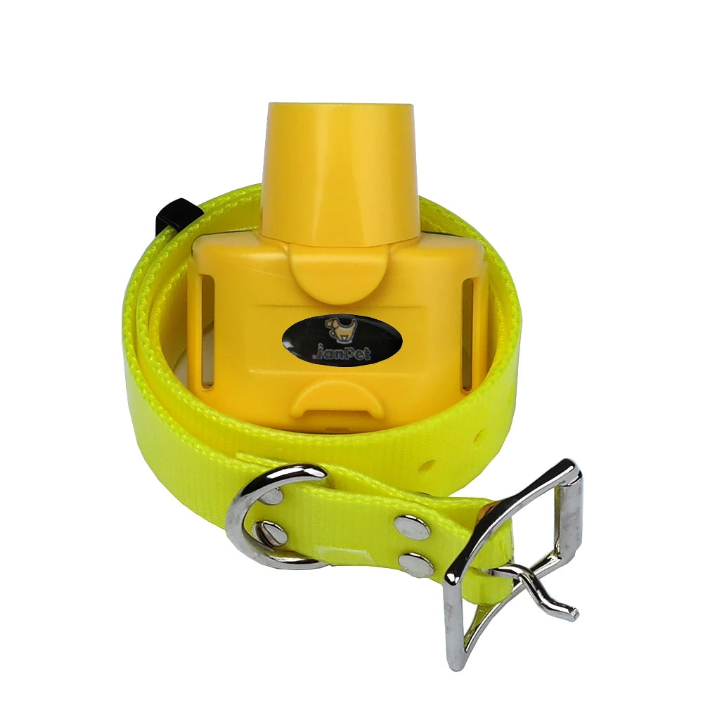 Collier beeper jaune pour chien de chasse présenté enroulé avec boîtier monté sur fond blanc.