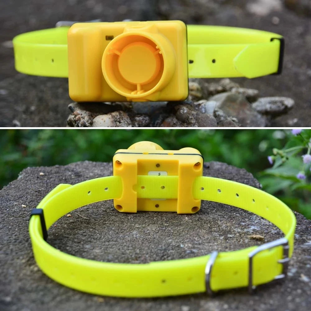 Collier beeper jaune photographié en extérieur avec vue avant et vue arrière sur une surface en pierre.
