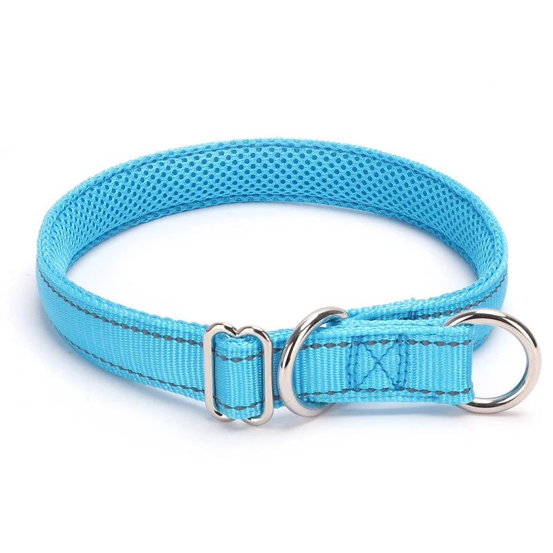 Collier bleu clair pour chien avec doublure en maille sur fond blanc.