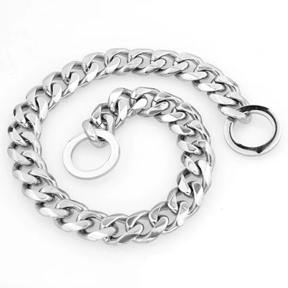 Collier chaîne argenté pour chien enroulé sur fond clair.