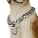 Gros collier chaîne argenté porté par un chien beige.