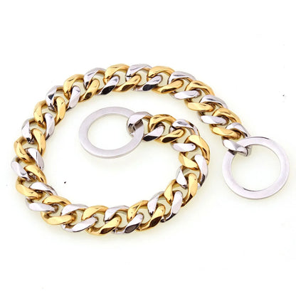 Vue produit d’un collier coulissant pour chien en finition dorée et argentée.