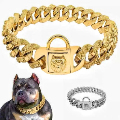 Collier chaîne doré pour chien type Bully ou Pitbull présenté avec visuel de style.