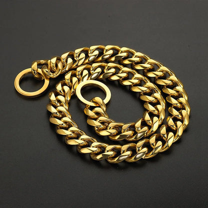 Collier chaîne doré pour chien enroulé sur fond noir.