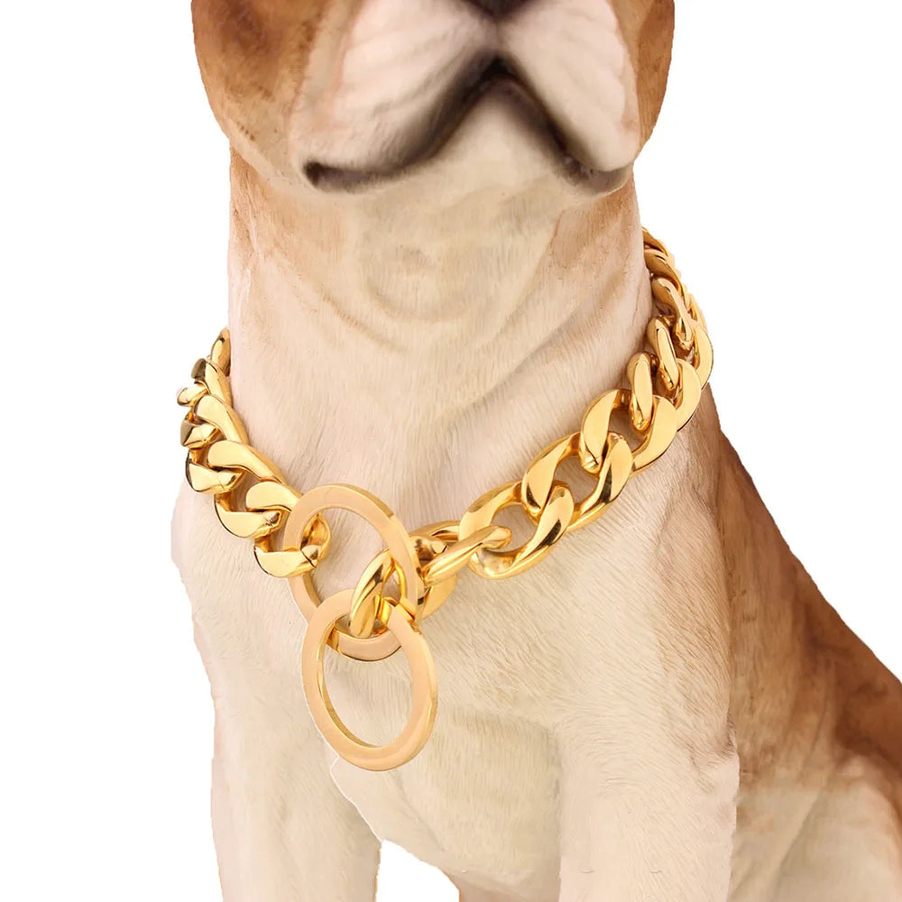 Gros collier chaîne doré porté par un chien beige.