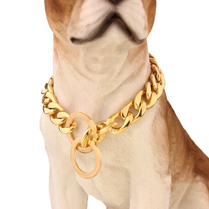 Gros collier chaîne doré porté par un chien beige.