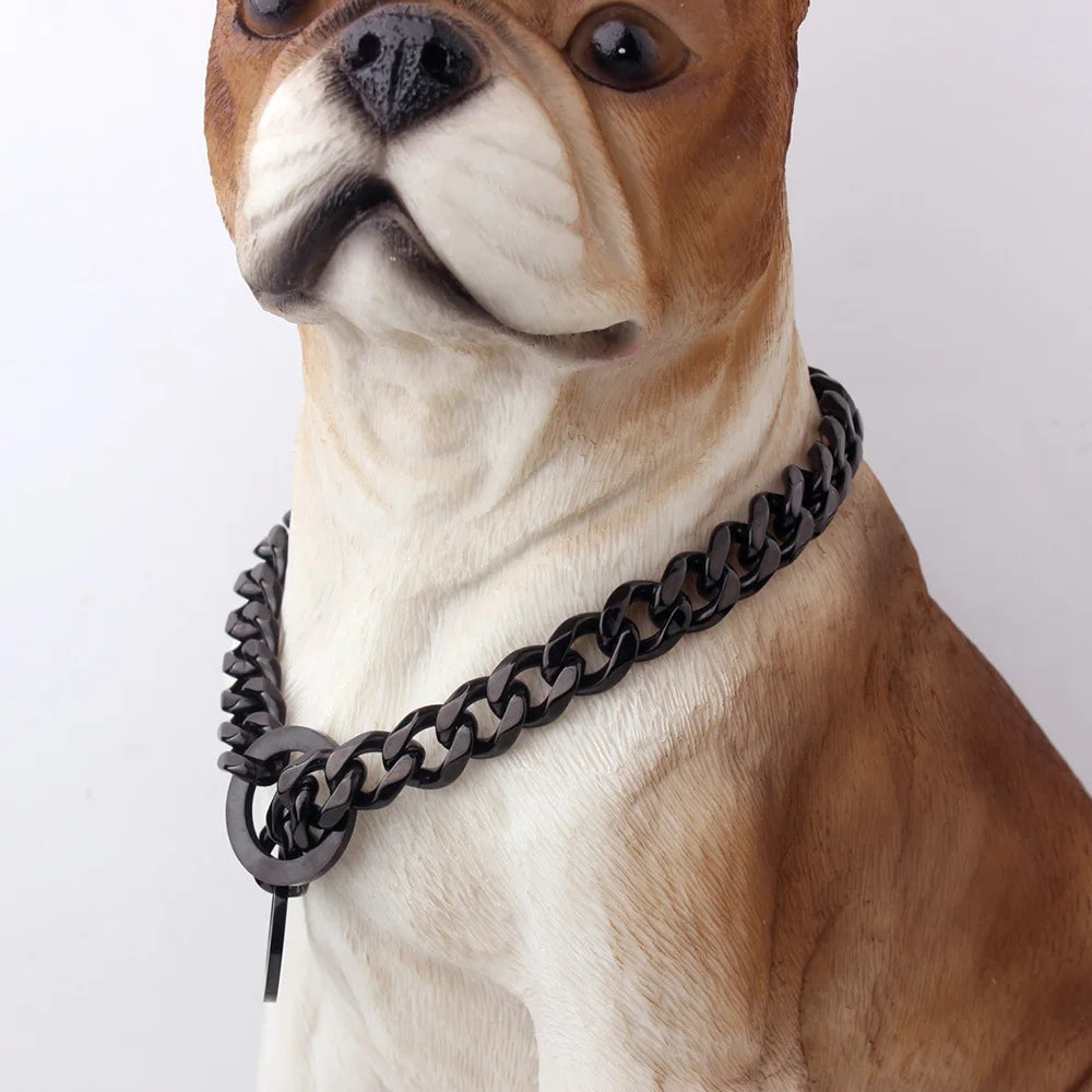 Gros collier chaîne noir porté par un chien beige.