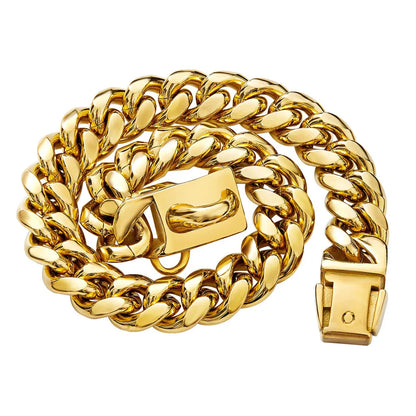 Collier chaîne doré pour chien présenté enroulé sur fond clair.